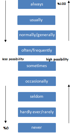 Adverbs of Frequency Schema