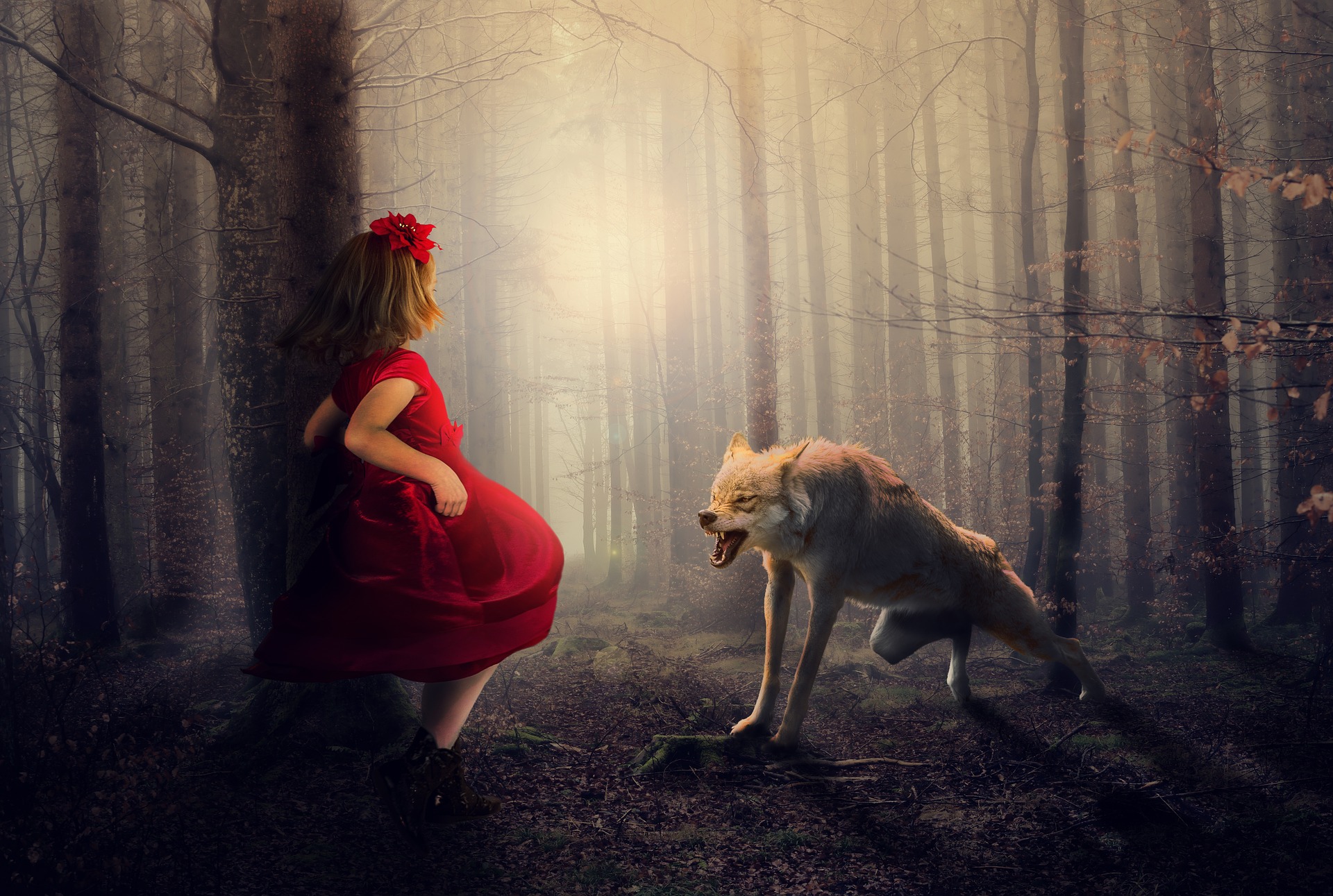 The little red riding hood,confronted by the big bad wolf.